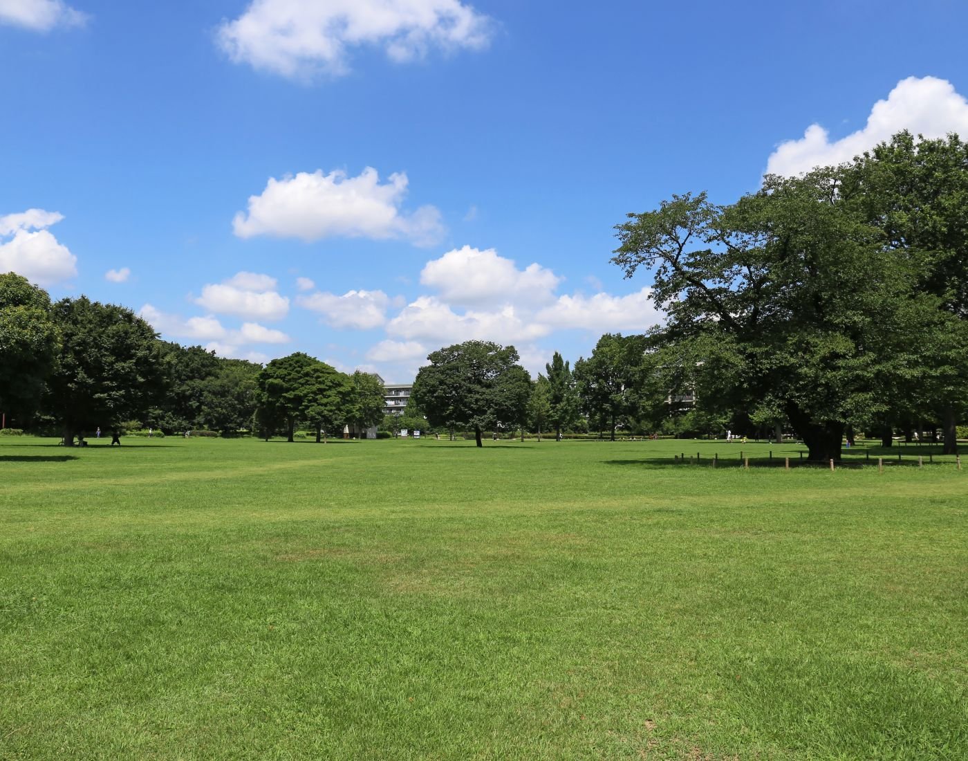 🏞️ 무사시 고쿠분지 공원 이미지 3